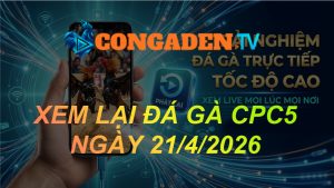 XEM LẠI ĐÁ GÀ CPC5 NGÀY 21/4/26